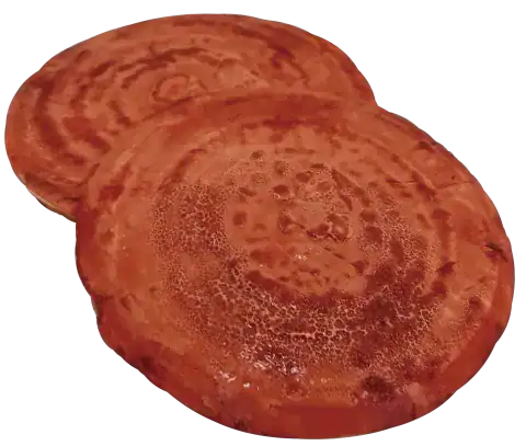 認識牛樟芝的關鍵部位 - 子實體 / 圖片來源:恩揚生技
